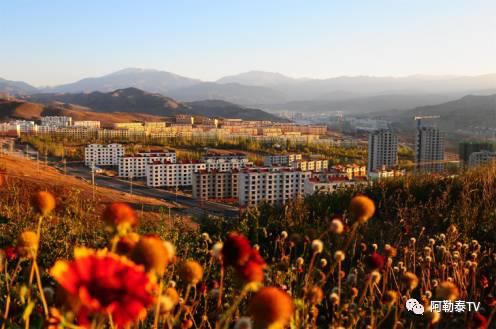 图片8.jpg?v=1765652618641