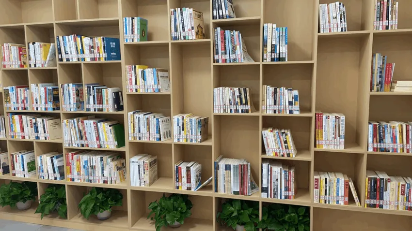 image image.png?v=1762621039427