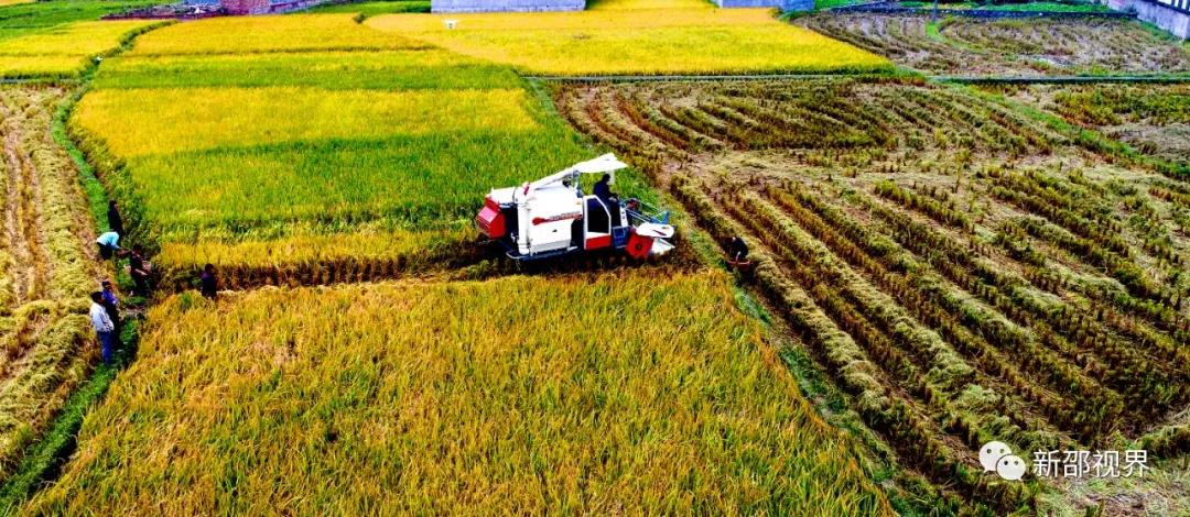 微信图片_20201207235217 微信图片_20201207235217.jpg