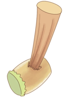 pagenumber_ebook=74,pagenumber_book=74