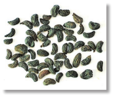 pagenumber_ebook=289,pagenumber_book=276