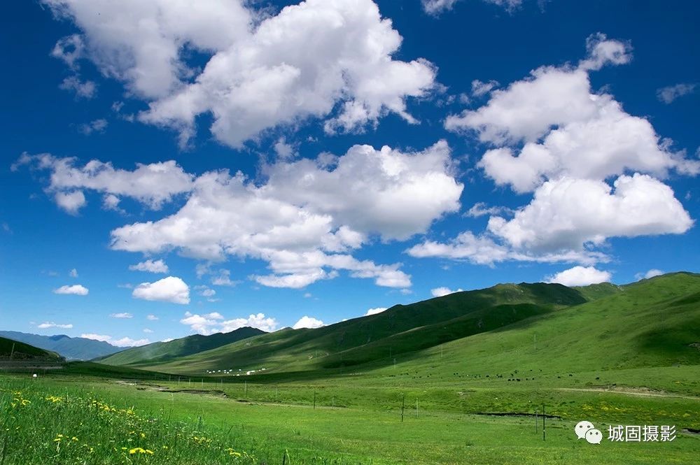 2 2.jpg?v=1765879737713