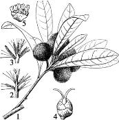 pagenumber_ebook=140,pagenumber_book=140