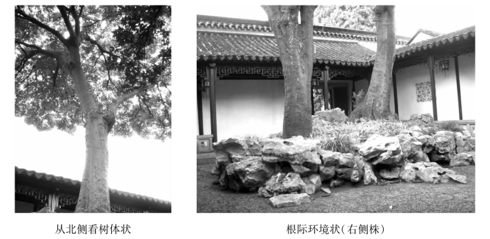 pagenumber_ebook=149,pagenumber_book=149