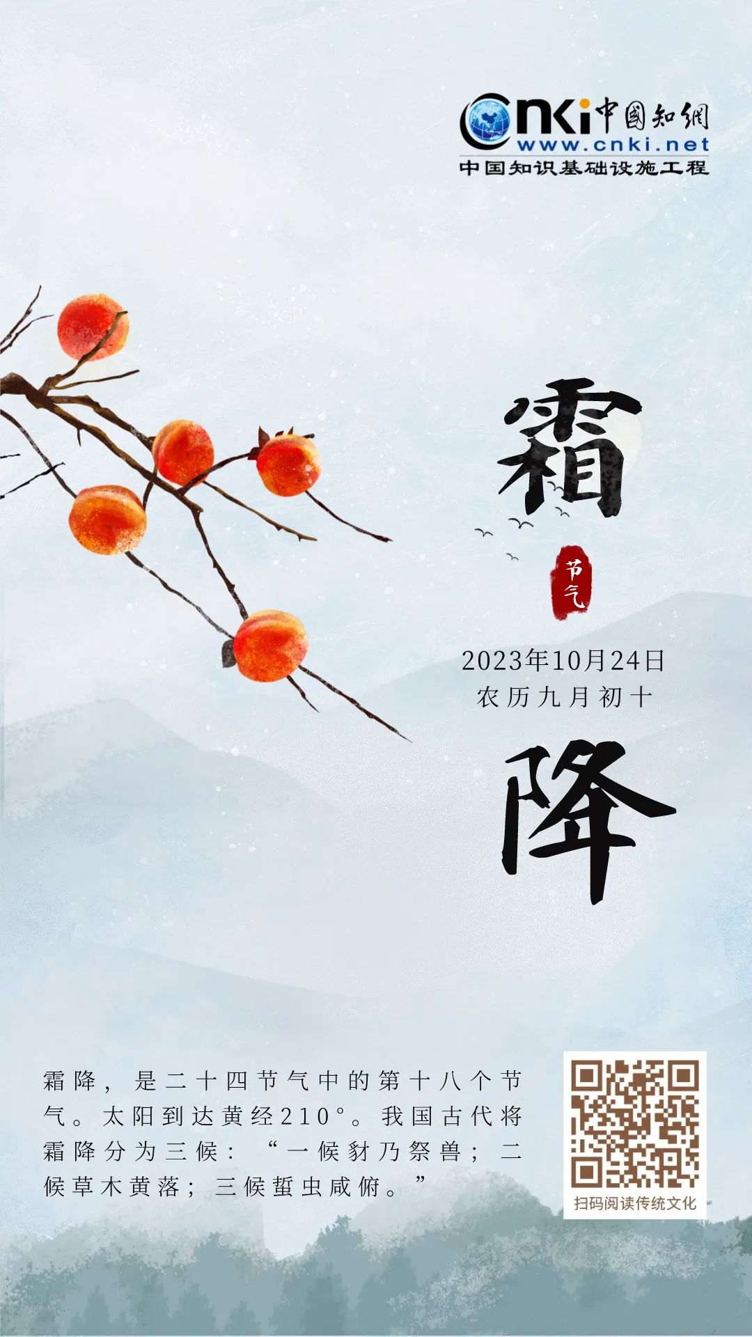 推 推.jpg?v=1765914052552