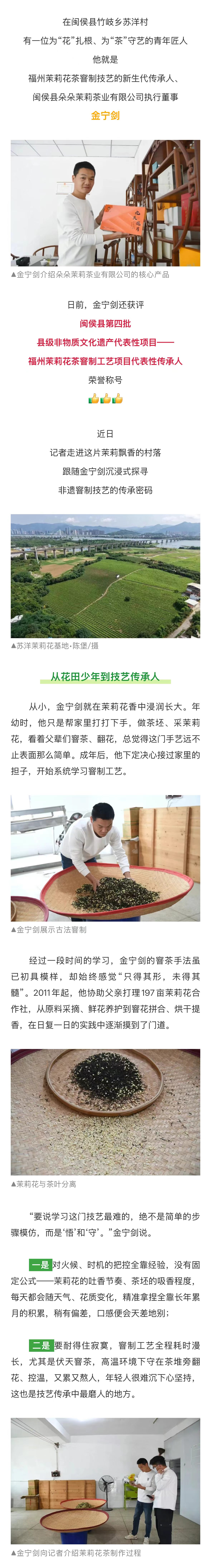 20260415【资讯】闽侯这位90后“茶二代”，让家乡的茉莉香出圈2jpg