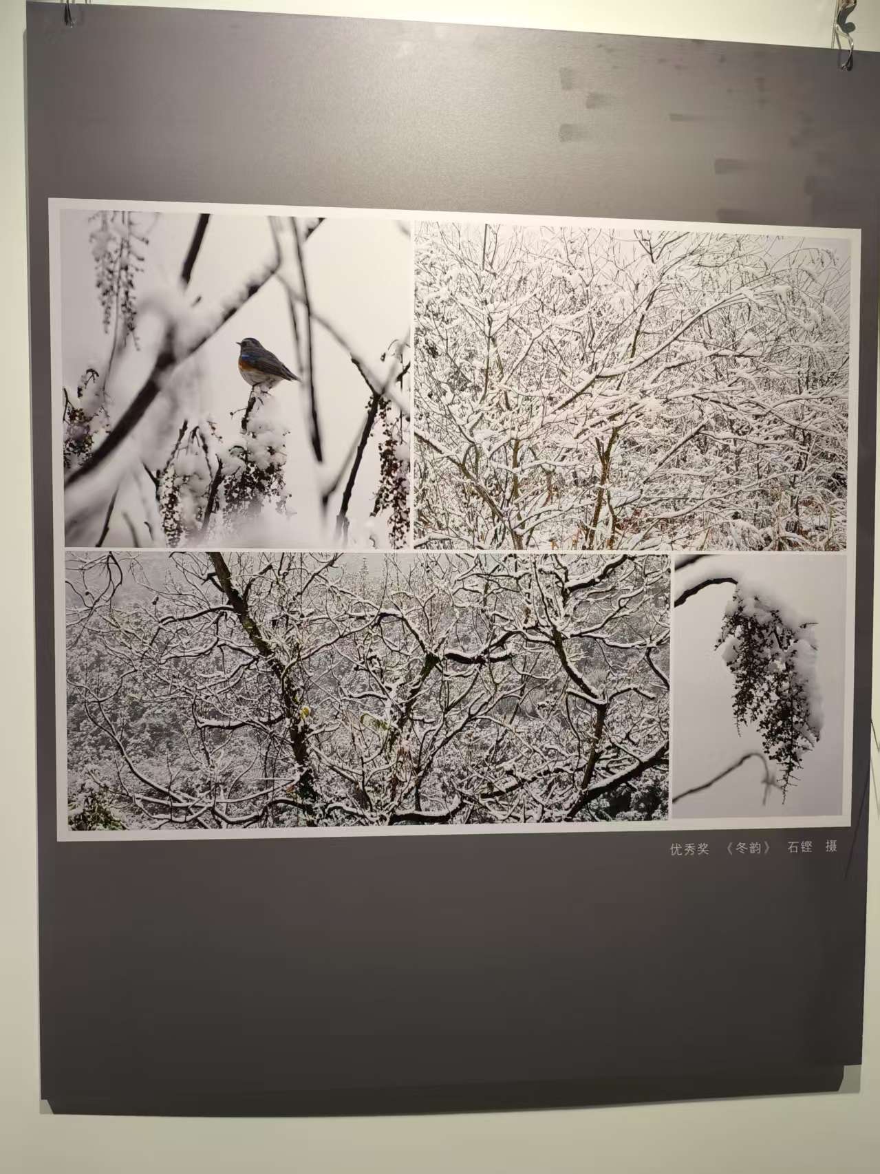 3249c26eade7541c401cd8c9e5d3714 3249c26eade7541c401cd8c9e5d3714.jpg