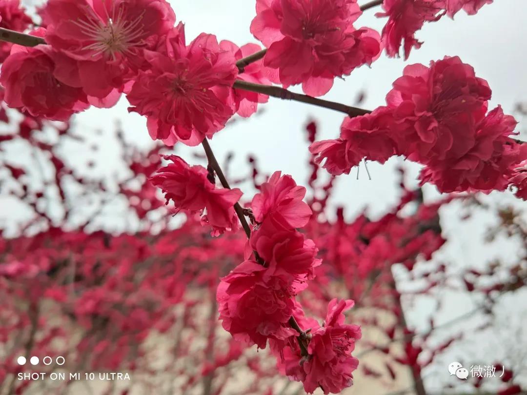 微信图片_20210406105908