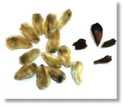 pagenumber_ebook=26,pagenumber_book=13