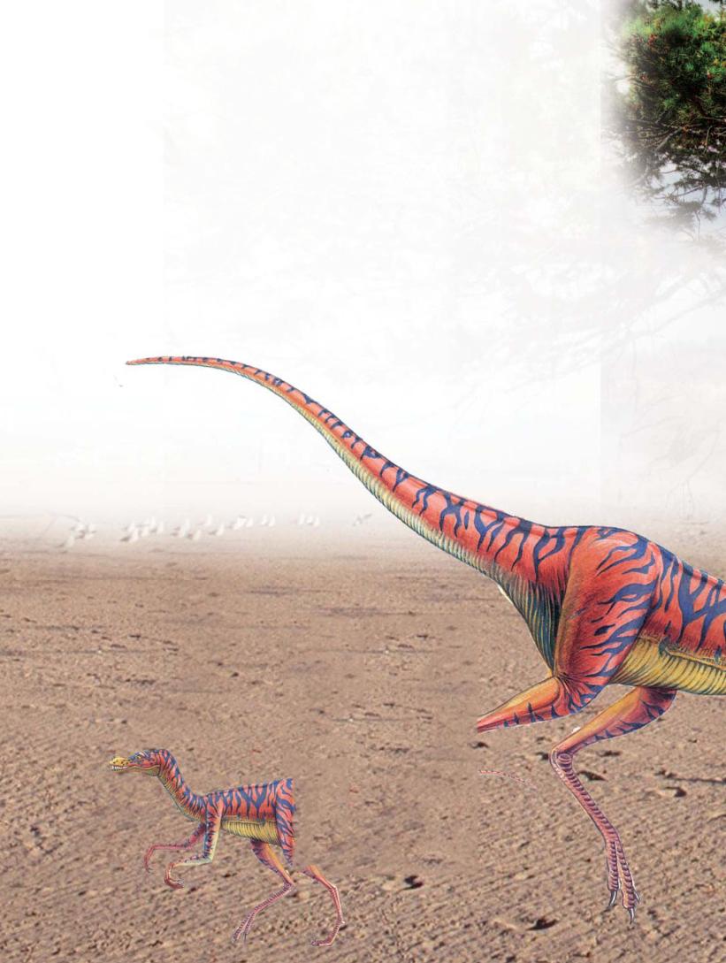 pagenumber_ebook=133,pagenumber_book=122