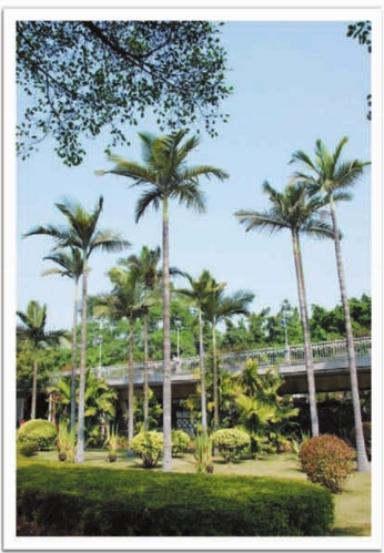 pagenumber_ebook=228,pagenumber_book=212