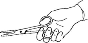 pagenumber_ebook=44,pagenumber_book=29