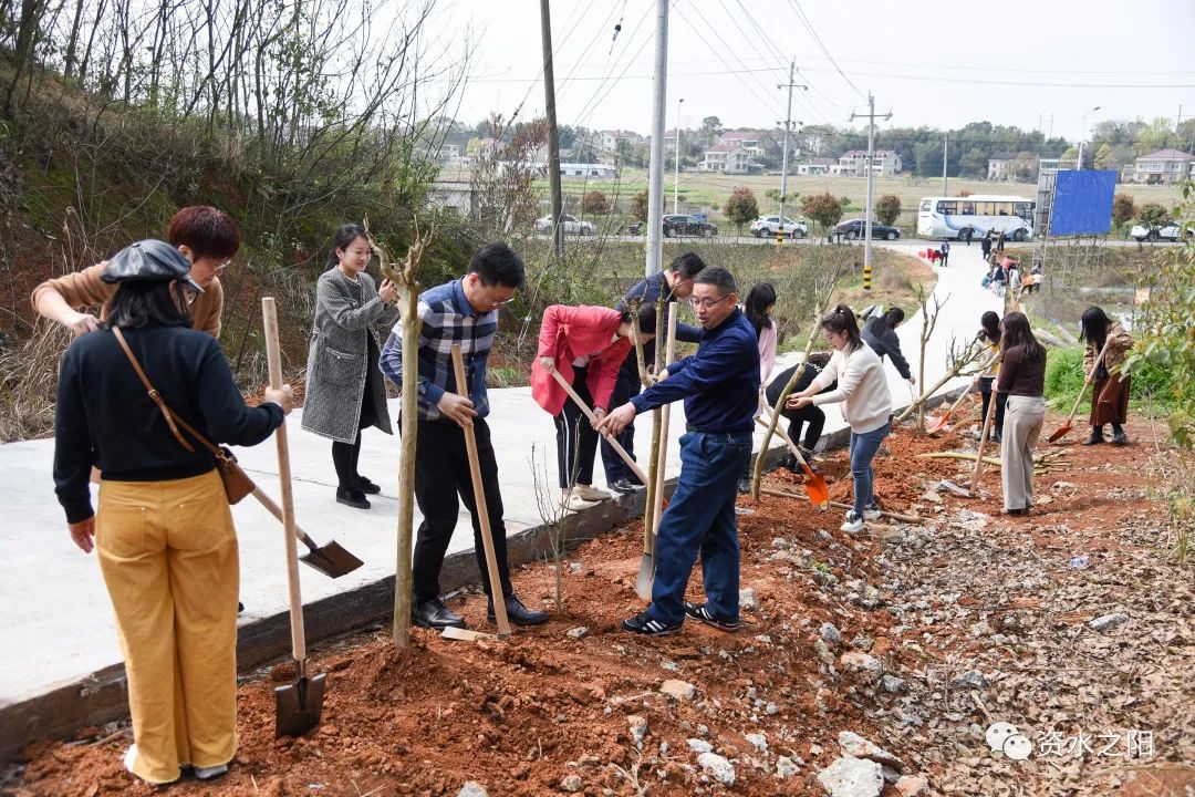 8 8.jpg?v=1765880648353