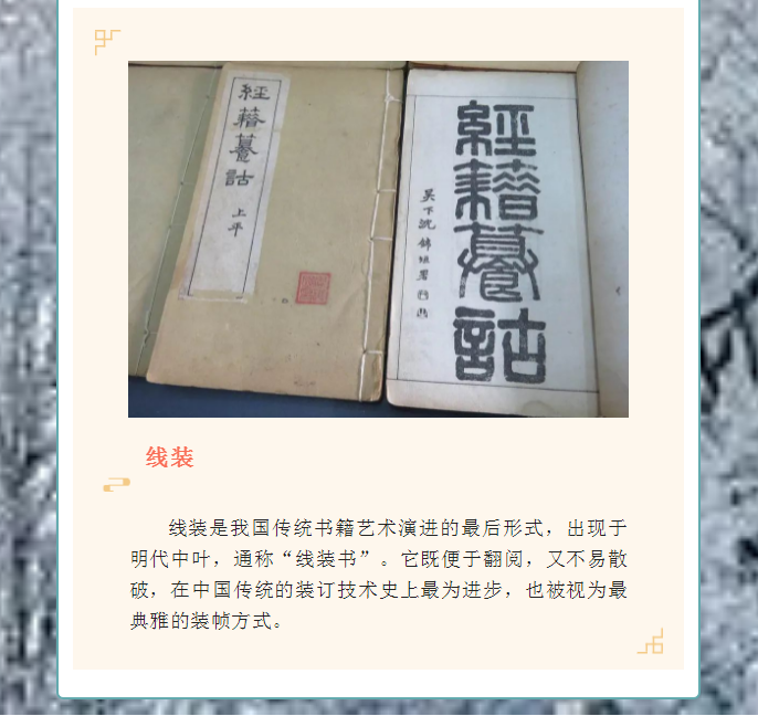 image.png?v=1754275719565