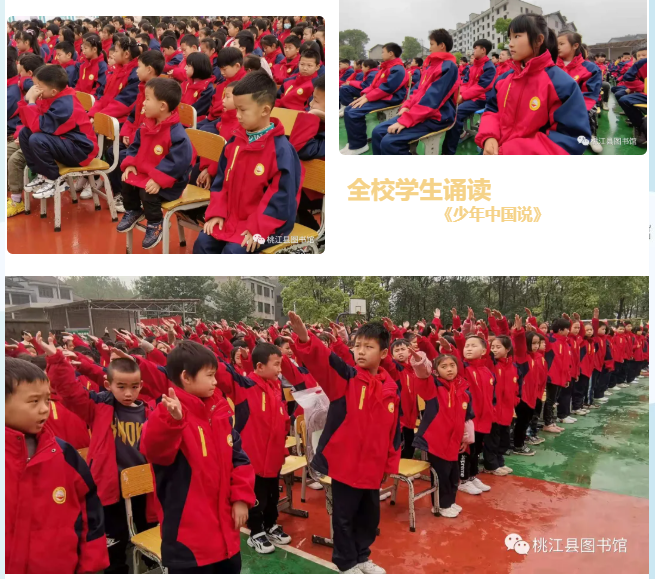 image image.png?v=1765916451324