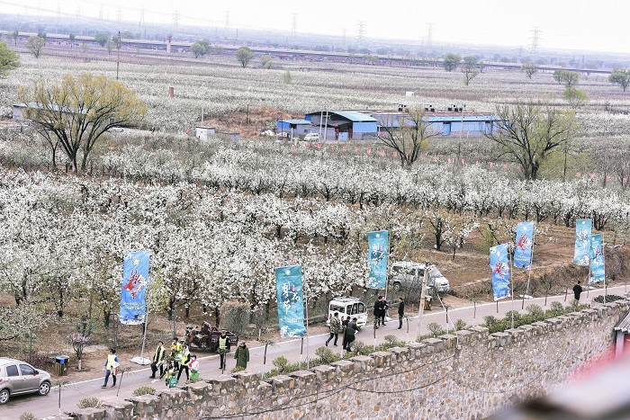 《梨园盛景》-李江锋