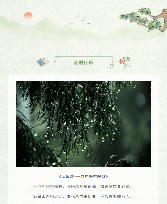 image.png?v=1770178027987