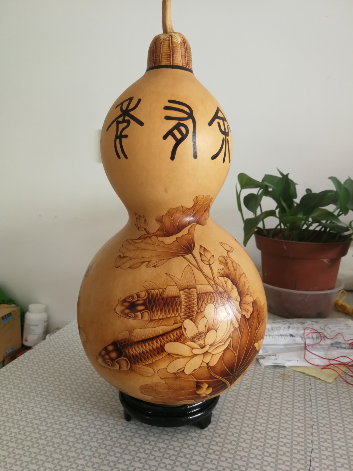 IMG_20191206_120327 IMG_20191206_120327.jpg