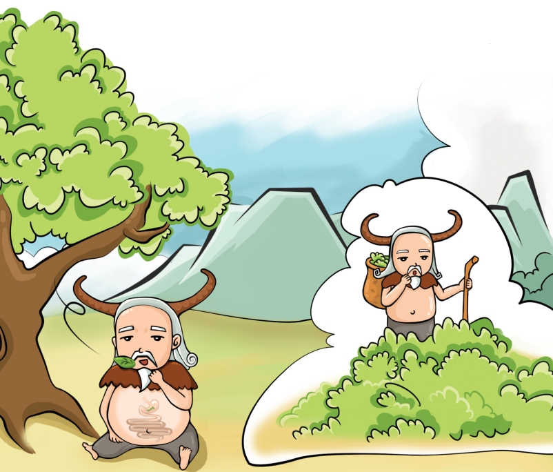 pagenumber_ebook=13,pagenumber_book=14