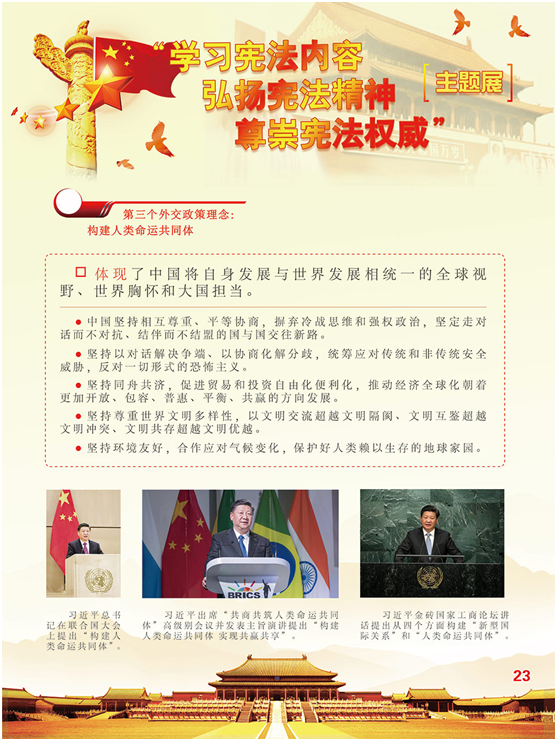 image image.png?v=1762213787587