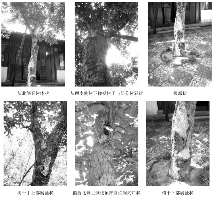 pagenumber_ebook=131,pagenumber_book=131