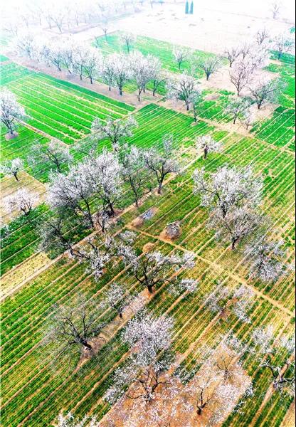 微信图片_20210318082755