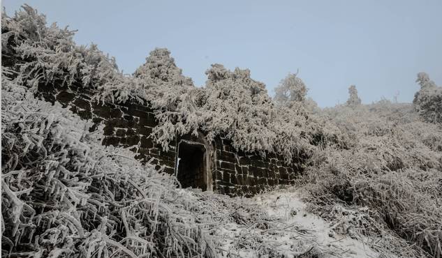 20170615170556_7ub6mr48pe 20170615170556_7ub6mr48pe.jpg?v=1765958551273