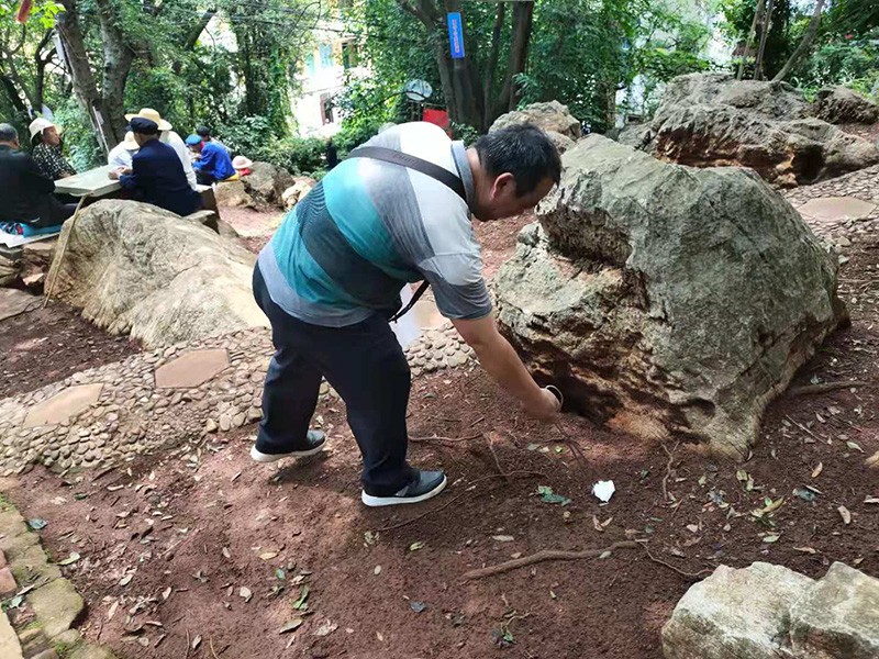 b085ae8ff5f3b37be16a41a947450a5