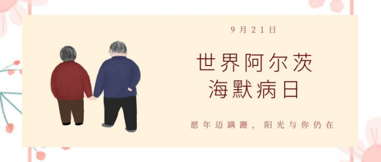 image image.png?v=1765742200436