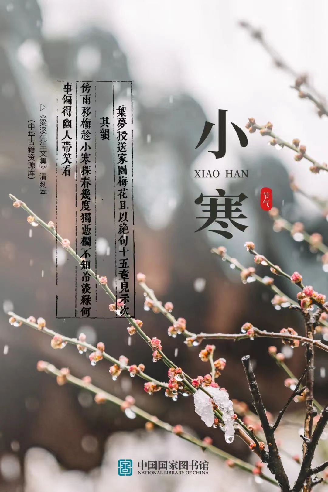 1059886782 1059886782.jpg