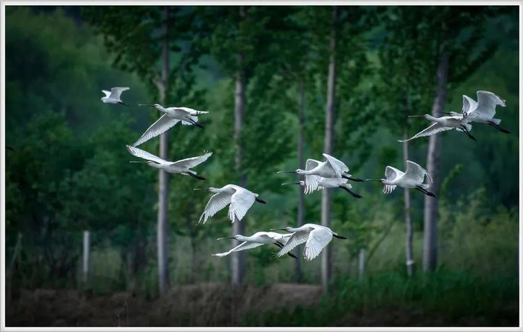 595d4f40-2425-11ec-b734-8b6acf2f1b58