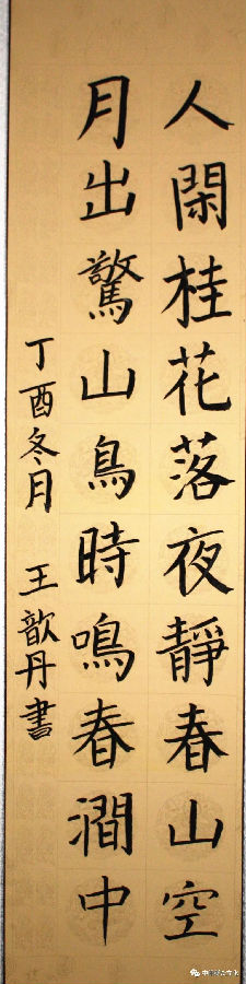 640.webp (26).jpg?v=1764880113128