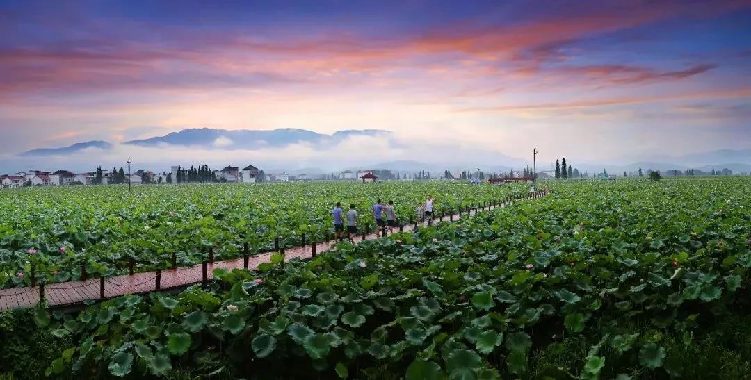 微信图片_20200713181653 微信图片_20200713181653.jpg