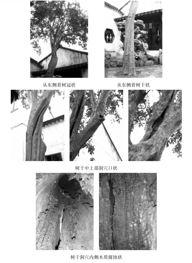 pagenumber_ebook=139,pagenumber_book=139