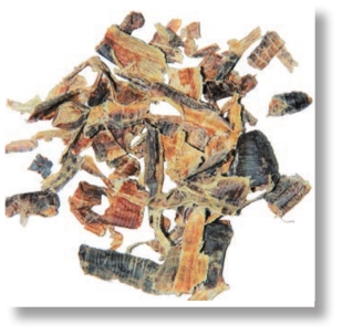 pagenumber_ebook=242,pagenumber_book=229