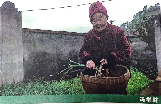 image image.png?v=1770186311307