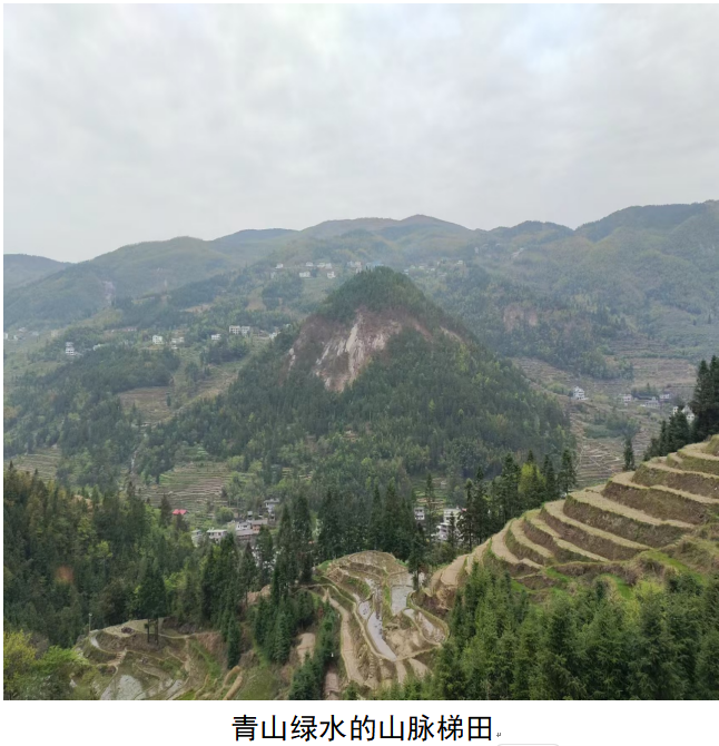 1732191216888 1732191216888.png