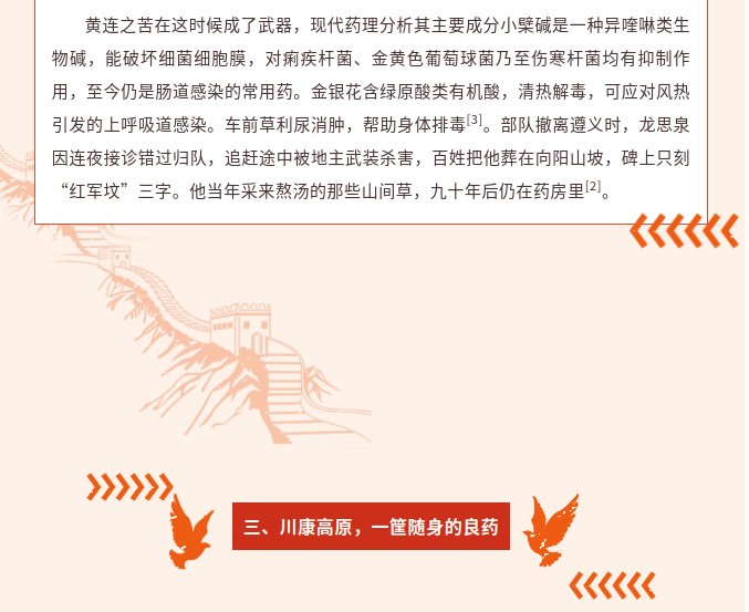 image.png?v=1792101750211