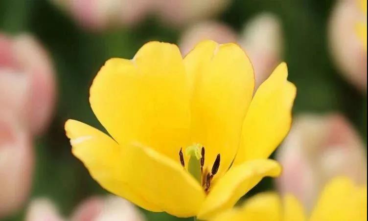 微信图片_20210329153307 微信图片_20210329153307.jpg