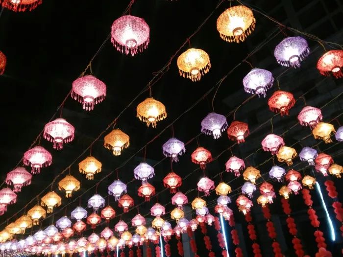 2 2.jpg?v=1762200760498