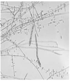 pagenumber_ebook=116,pagenumber_book=109