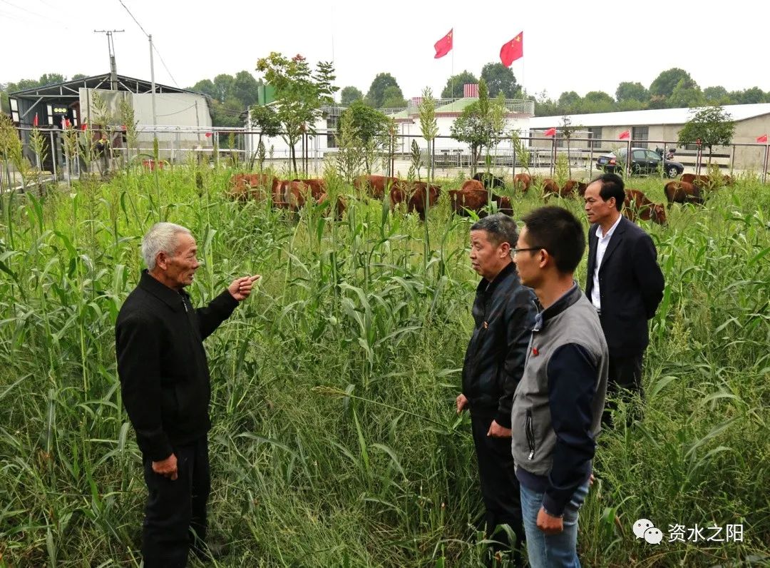 14 14.jpg?v=1765880721220