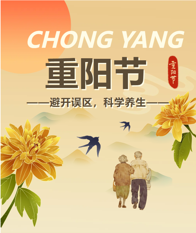 image.png?v=1762073882171