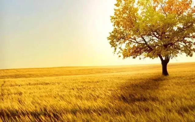 20171026202805_5p84qiqcw2 20171026202805_5p84qiqcw2.png?v=1773792016374