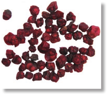 pagenumber_ebook=294,pagenumber_book=281