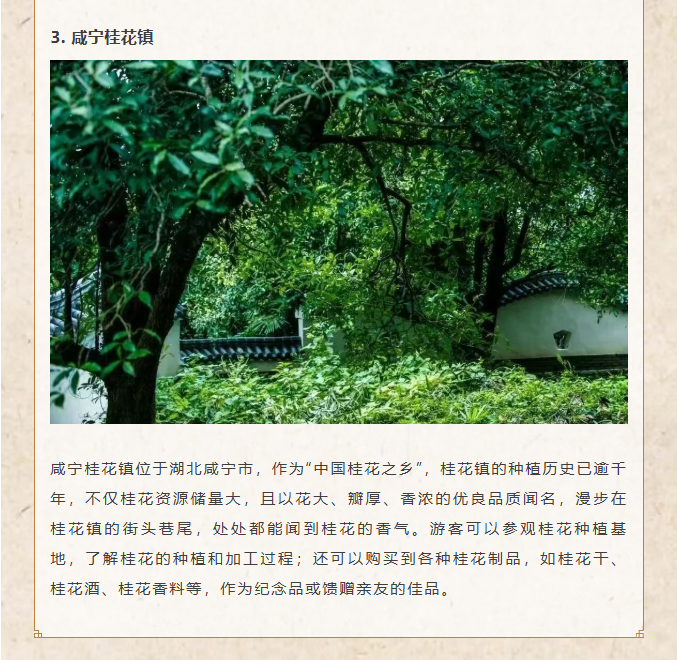 image.png?v=1762099910466