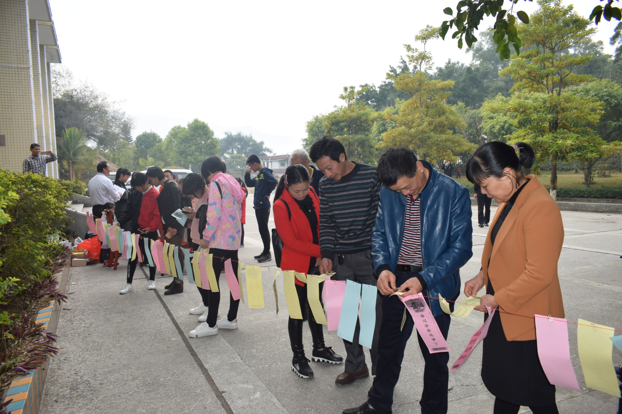 DSC_2461 DSC_2461.jpg?v=1766087117174