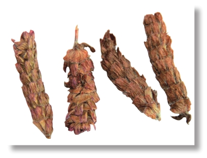 pagenumber_ebook=43,pagenumber_book=30