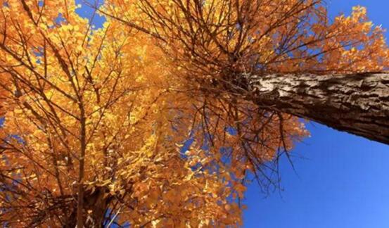 A26.jpg?v=1763520868647