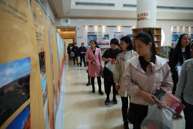 公共数字文化服务推广活动17